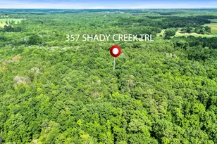 357 Shady Crk Trl, Williamson, GA 30292 - Photo 70
