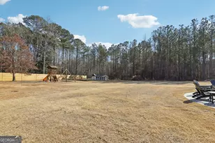 691 Earl North Rd, Newnan, GA 30263 - Photo 54