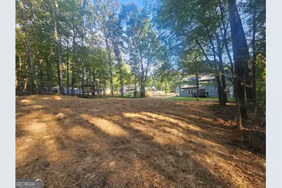 150 Park Timbers Drive, Sharpsburg, GA 30277 - Photo 24