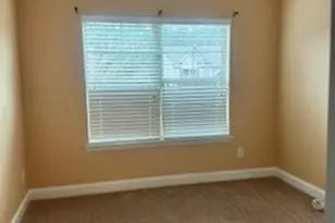 1205 Pebble Rock Rd, Hampton, GA 30228 - Photo 14