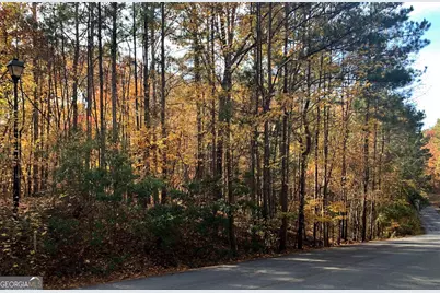 1520 Snug Harbor Drive, Greensboro, GA 30642 - Photo 4