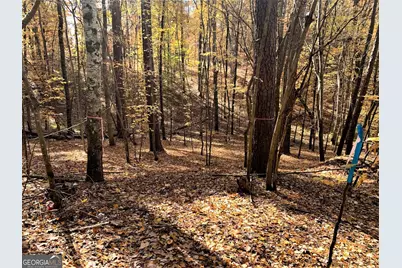 1520 Snug Harbor Drive, Greensboro, GA 30642 - Photo 2