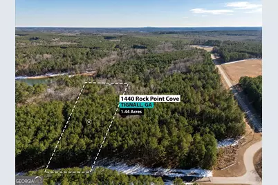 1440 Rock Point Cove, Tignall, GA 30668 - Photo 1