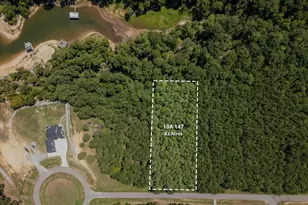 1250 Striper Cove, Tignall, GA 30668 - Photo 1
