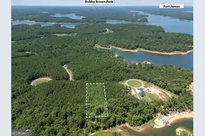 1250 Striper Cove, Tignall, GA 30668 - Photo 4