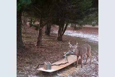 1584 Lexington Carlton Road, Carlton, GA 30627 - Photo 18