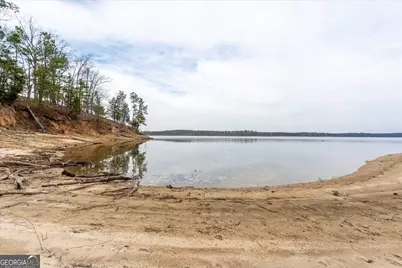 1282 Striper Cove, Tignall, GA 30668 - Photo 14