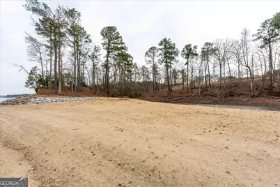 1282 Striper Cove, Tignall, GA 30668 - Photo 16