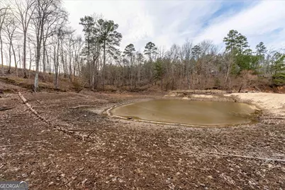 1282 Striper Cove, Tignall, GA 30668 - Photo 12