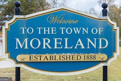 Lot 4 Puckett Station No Street, Moreland, GA 30259 - Photo 6