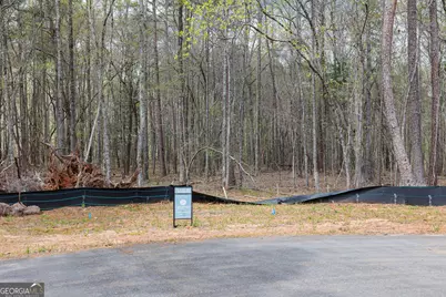 Lot 4 Puckett Station No Street, Moreland, GA 30259 - Photo 4