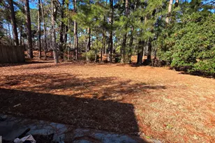 29 Bristlecone Dr, Savannah, GA 31419 - Photo 14