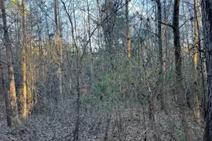 4638 Hwy 63, Carnesville, GA 30521 - Photo 54