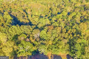 4638 Hwy 63, Carnesville, GA 30521 - Photo 14