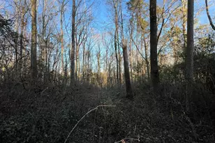 4638 Hwy 63, Carnesville, GA 30521 - Photo 46