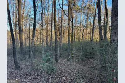 4638 Highway 63, Carnesville, GA 30521 - Photo 48