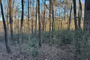 4638 Hwy 63, Carnesville, GA 30521 - Photo 48