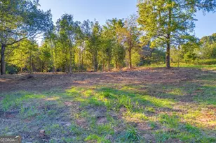 4638 Hwy 63, Carnesville, GA 30521 - Photo 12