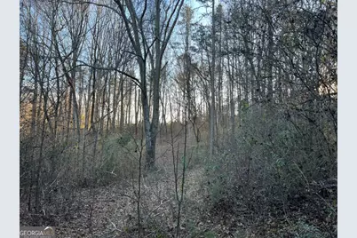 4638 Highway 63, Carnesville, GA 30521 - Photo 52