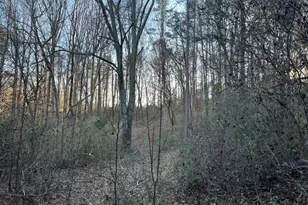 4638 Hwy 63, Carnesville, GA 30521 - Photo 52