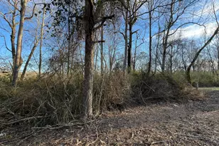 4638 Hwy 63, Carnesville, GA 30521 - Photo 44