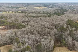 1501 Williamson Zebulon Rd, Williamson, GA 30292 - Photo 40