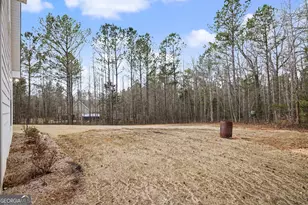 1501 Williamson Zebulon Rd, Williamson, GA 30292 - Photo 28