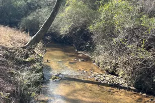 523 Fredonia Church Rd, Barnesville, GA 30204 - Photo 66