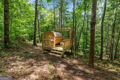 120 Community Hill Drive, Blue Ridge, GA 30513 - Photo 50