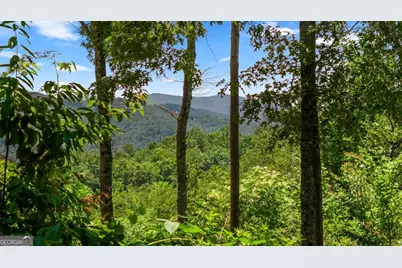 120 Community Hill Drive, Blue Ridge, GA 30513 - Photo 4