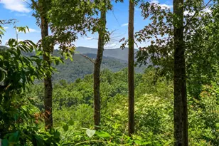 120 Community Hill Dr, Blue Ridge, GA 30513 - Photo 4