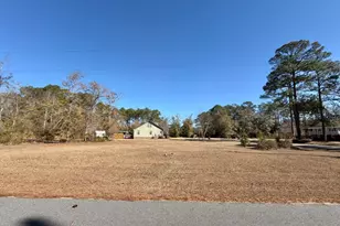 3231 Pear Ave, Patterson, GA 31557 - Photo 42