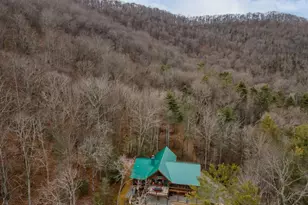 197 Cashes Valley Overlook, Cherrylog, GA 30522 - Photo 56