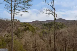 197 Cashes Valley Overlook, Cherrylog, GA 30522 - Photo 2