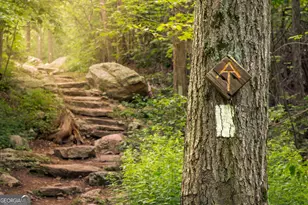 0 Heavenly Circle, Clayton, GA 30525 - Photo 12