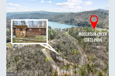 3103 Highway 197, Clarkesville, GA 30523 - Photo 4