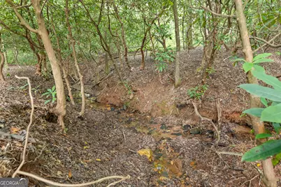 3103 Highway 197, Clarkesville, GA 30523 - Photo 26