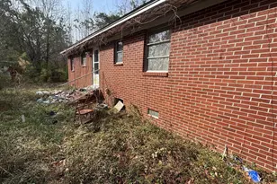 139 Bryant Newkirk Rd, Rose Hill, NC 28458 - Photo 2