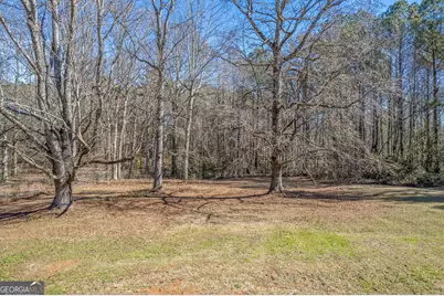 2211 Sharpsburg McCullum Road, Newnan, GA 30265 - Photo 44