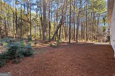 203 Windgate Court, Peachtree City, GA 30269 - Photo 52