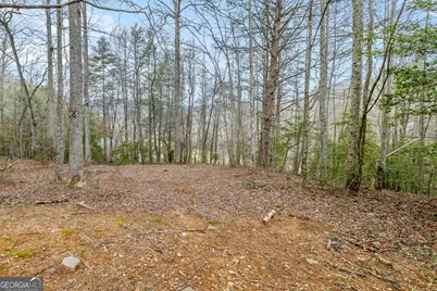 89 Ts Jarrard Road, Dahlonega, GA 30533 - Photo 28