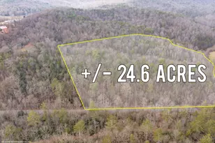 89 T S Jarrard Rd, Dahlonega, GA 30533 - Photo 2