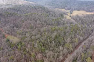 89 T S Jarrard Rd, Dahlonega, GA 30533 - Photo 42