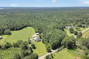 159 County Line Rd, Jenkinsburg, GA 30234 - Photo 4