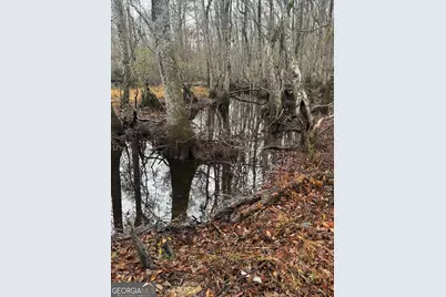 899 Foxboro Lane, Portal, GA 30450 - Photo 44