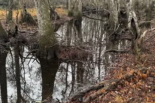 899 Foxboro Ln, Portal, GA 30450 - Photo 44