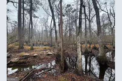 899 Foxboro Lane, Portal, GA 30450 - Photo 46