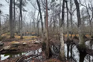 899 Foxboro Ln, Portal, GA 30450 - Photo 46