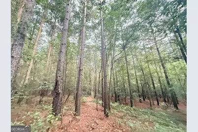 11 Owens Road, Maysville, GA 30558 - Photo 46