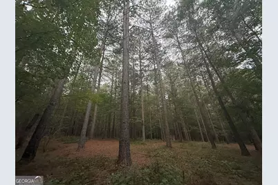 11 Owens Road, Maysville, GA 30558 - Photo 64